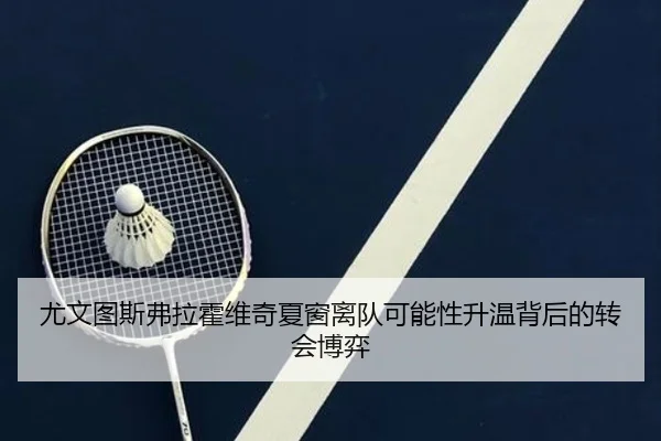 尤文图斯弗拉霍维奇夏窗离队可能性升温背后的转会博弈