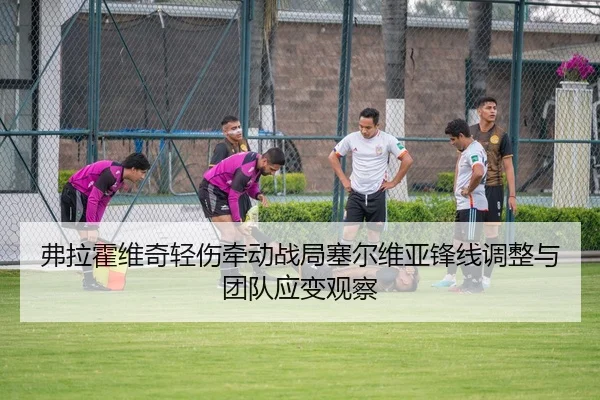 弗拉霍维奇轻伤牵动战局塞尔维亚锋线调整与团队应变观察